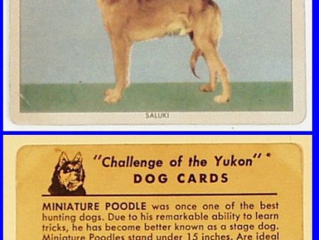 Set of 3 Sergeant Preston Dog Premium Cards copyright 1950 Online Sale