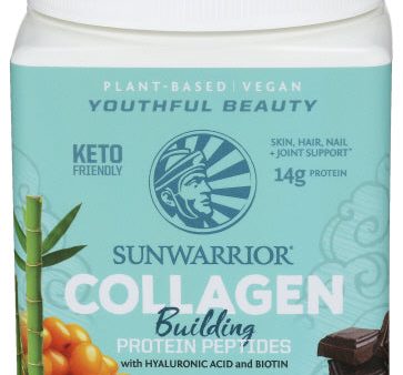 Collagen Chocolate Fudge - 500 GM (case of 1) Discount