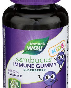 Sambucus Gummies Kids - 60 PC (case of 3) on Sale