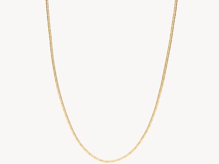 Cardano Chain Necklace Cheap