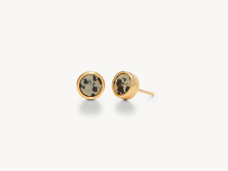 Dalmatian Jasper Bezel Stud Earrings Online Sale