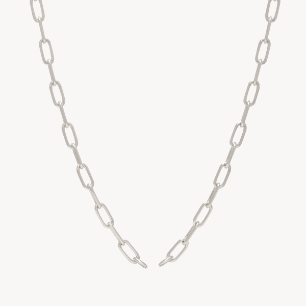 Clip Charm Chain Necklace — Silver For Sale