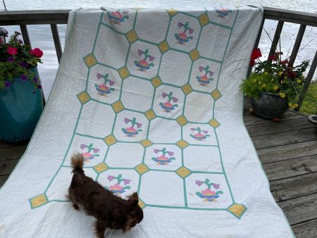 Vintage 1930s Applique Kit Quilt For Discount